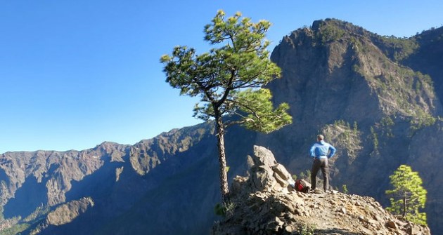 24443932463_5f5d0c67f7_z