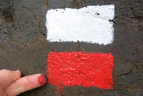 24460640104_c78515d2b4