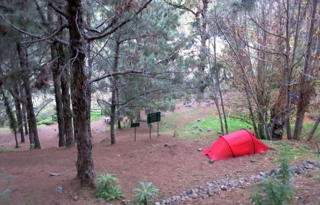 24463898194_66a755f8fd_z