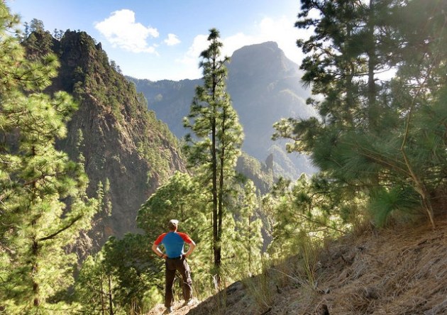 24463898354_45e3067208_z