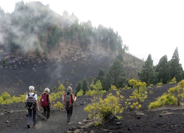 24704436369_bfeb10f737_z