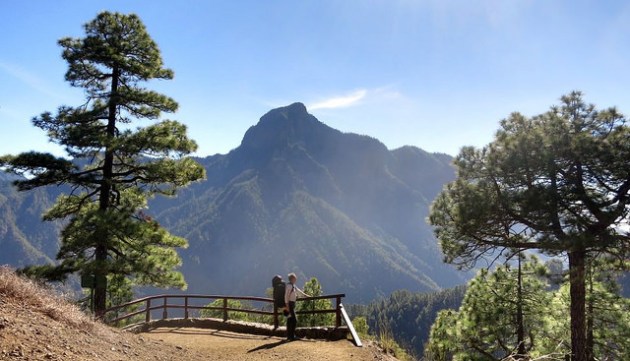 24726925919_d41c08a6b4_z