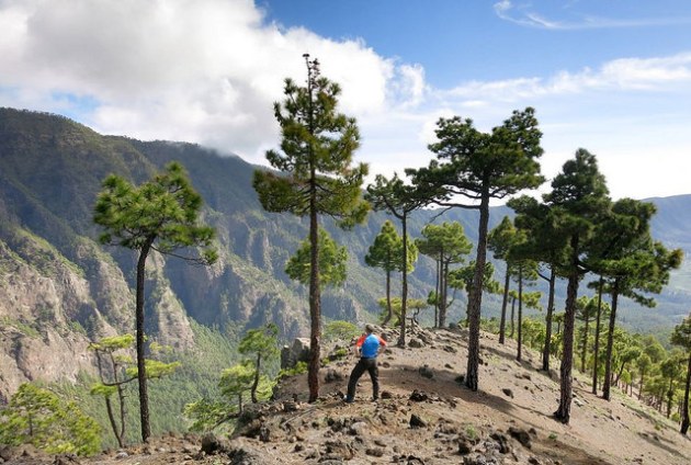 24775195830_fe9ab878a2_z