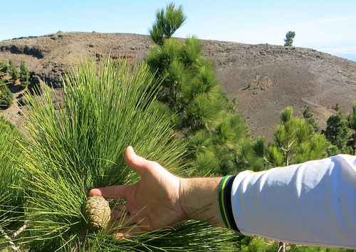 24776475570_f6967f5122