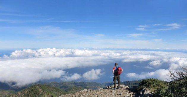 24800981310_d155d20fbd_z