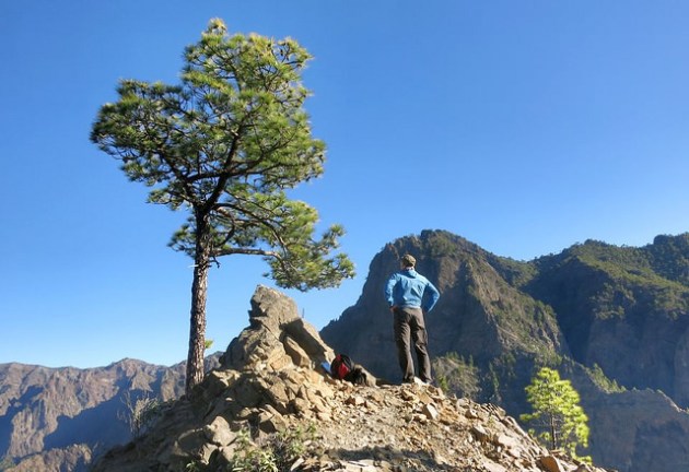 24952676252_f6788dc6d8_z