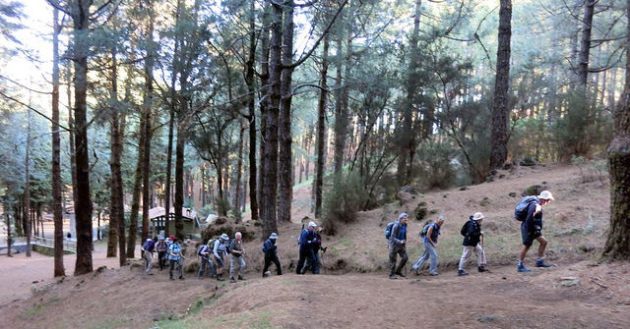 24953951842_02c4eaf9b6_z