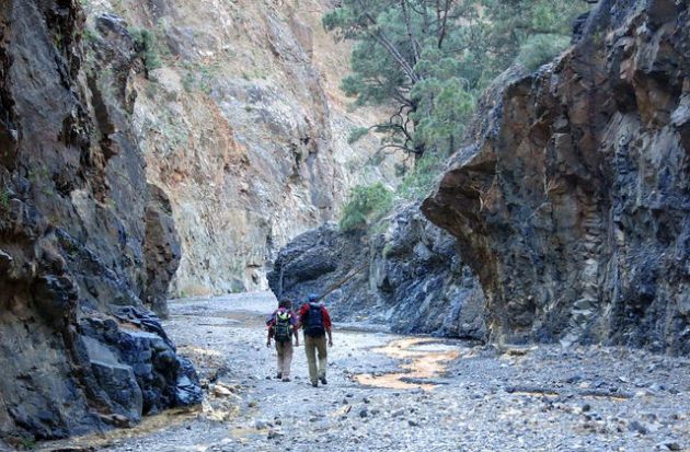 24977260822_d8aa575eb4_z