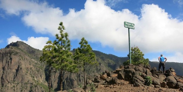 24977494581_7887fa16e9_z