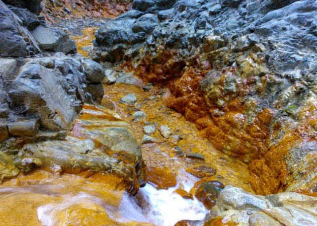 24977868712_137f4dbfda_z