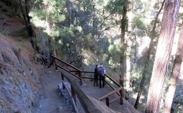 25001280901_5899e26ed7_z