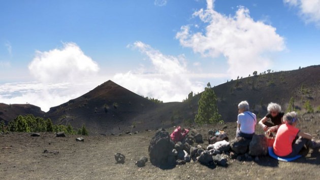 25045740546_977feed23d_z