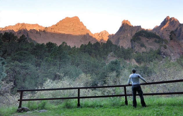 25095433195_ee472caf24_z