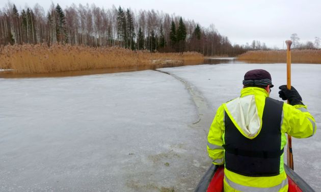 van19 DSC03447 kapeavantaa